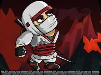 Ninja Shadow Samurai