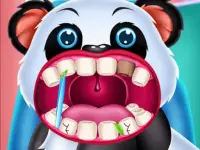 Wild Animal Hospital Vet Doctor image