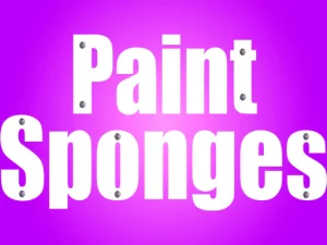 Paint Sponges Puzzle image
