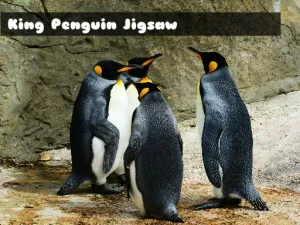 King Penguin Jigsaw image