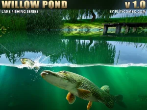 Willow Pond image
