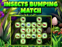 Insects Bumping Match image