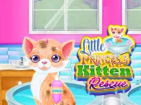 Little Princess Kitten Rescue image