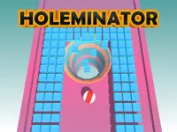 Holeminator image