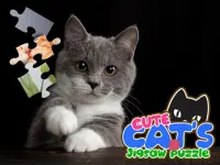 CUTE CATS JIGSAW PUZZLE image