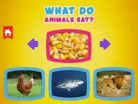 What do animals eat image