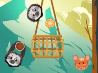 Slings to the Basket image