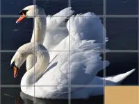 Animals Slide Puzzle image