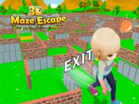 Maze Escape 3D image