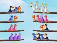image bg Bird Sort Puzzle