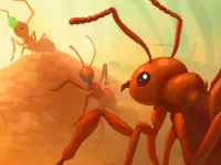 image bg Ants io