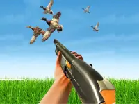 Bird Hunting Gun Fire Sh...