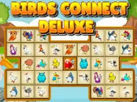 Birds Connect Delu...