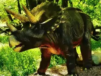 Triceratops Dinosa...