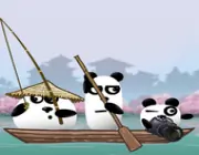 pandas