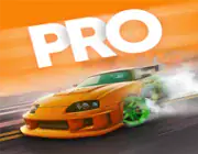 pro